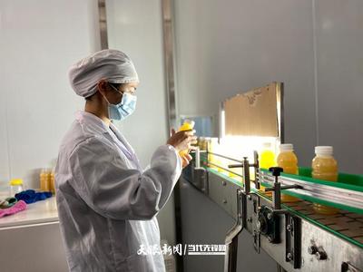 六盤水 產業轉型蹄疾步穩，獼猴桃變身“致富果”