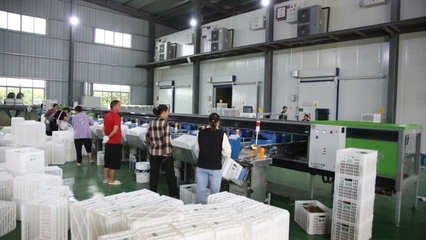 修文縣首個即食獼猴桃加工中心建成投用，開啟獼猴桃產業發展新篇章